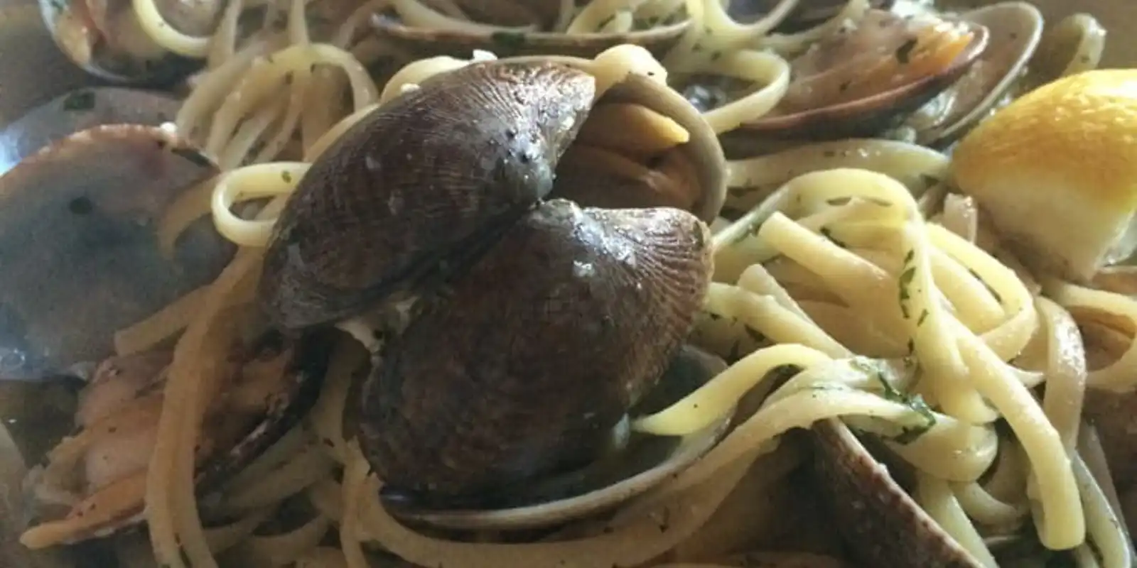 sauteed clams and pasta